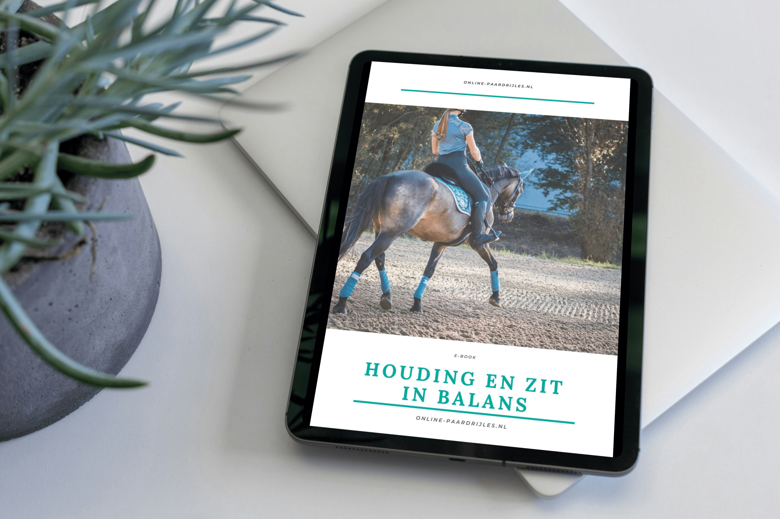 e-book Houding & zit in balans