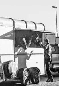 Training Trailerladen zonder stress deel 1
